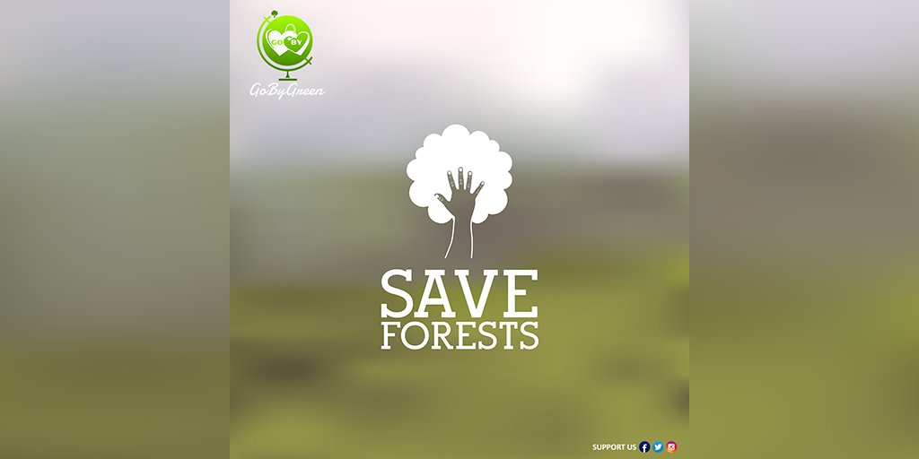 gobygreenoff's tweet photo. A #tree is a collective property so take care of it...

#GoByGreen #gobygreenofficial #GoByHolidays #GoBy #pollution #environment #climatechange #nature #deforestation #savetheplanet #plasticpollution #earth #zerowaste #recycle #sustainability #globalwarming #usa #europe https://t.co/k3GCH4RzEk