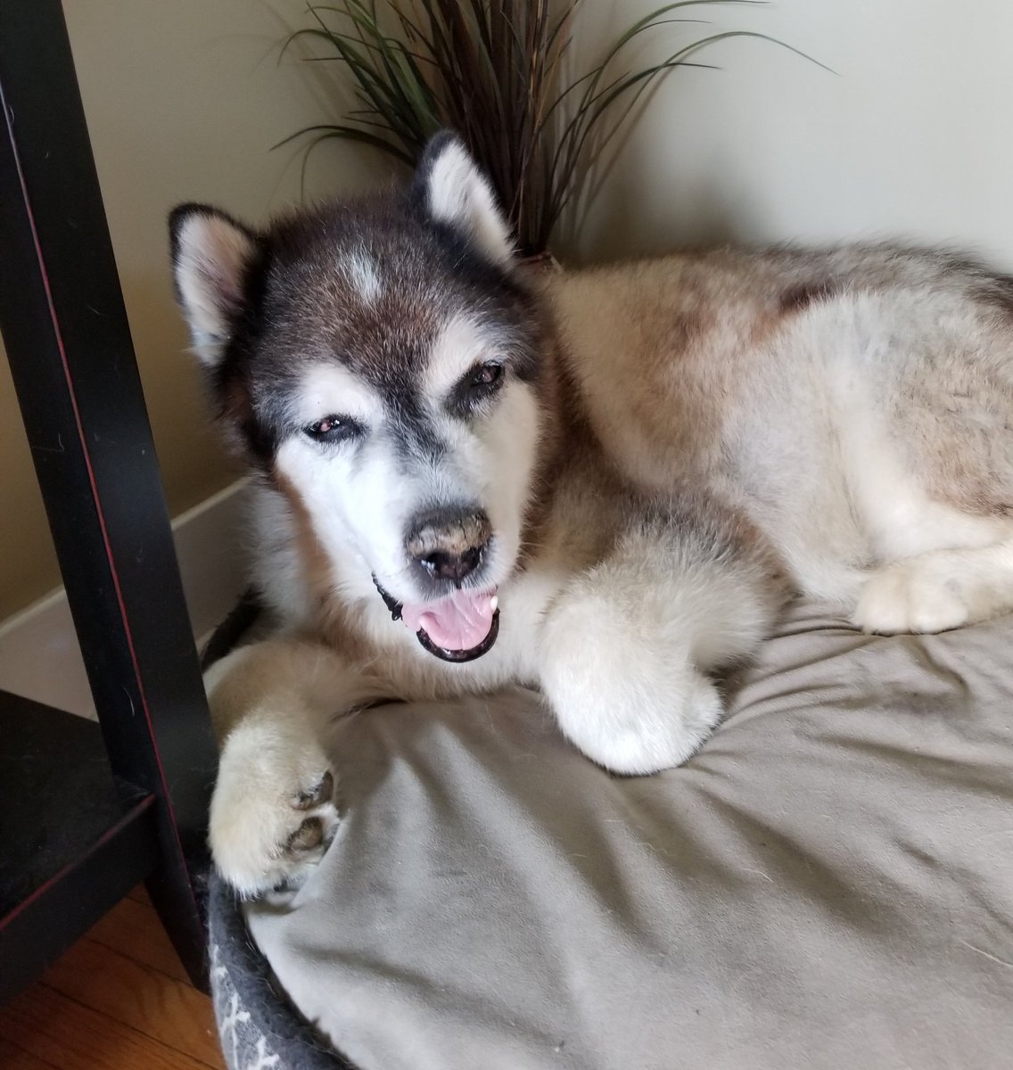 Erica Des Roches tweet media