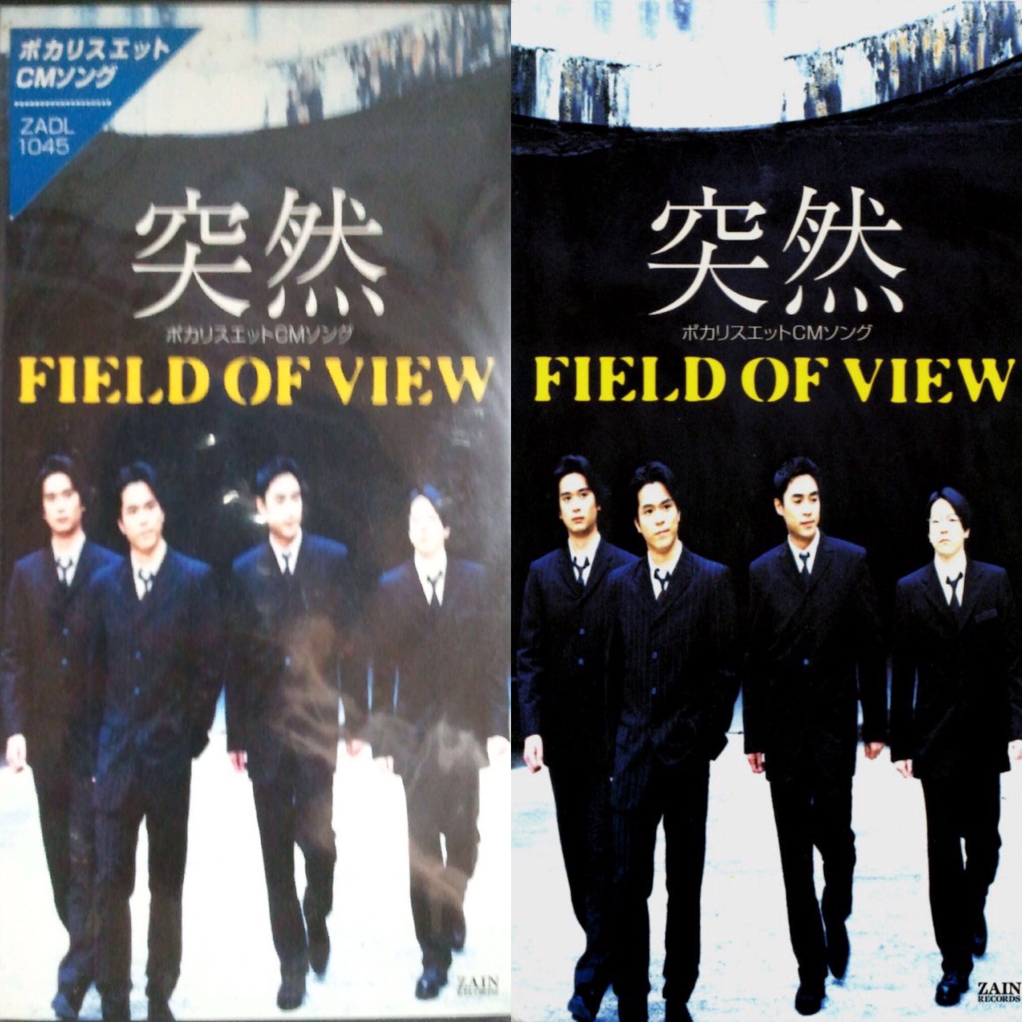 View/FIELD OF VIEW 8cmシングル コンプリート 全16枚 | genesysmed.com.br