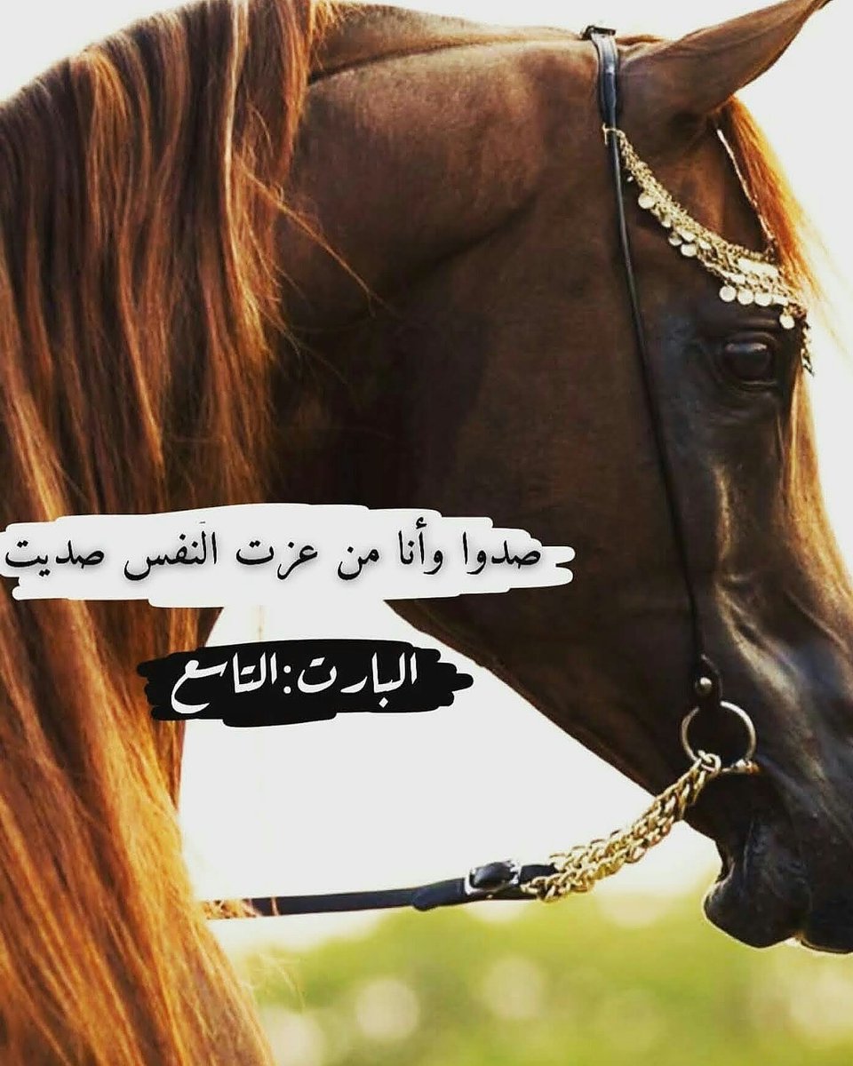 Sdood_'s tweet photo. تم التنزيل ..

كونوا بخير غالياتي .. https://t.co/EqmWA7mKYH