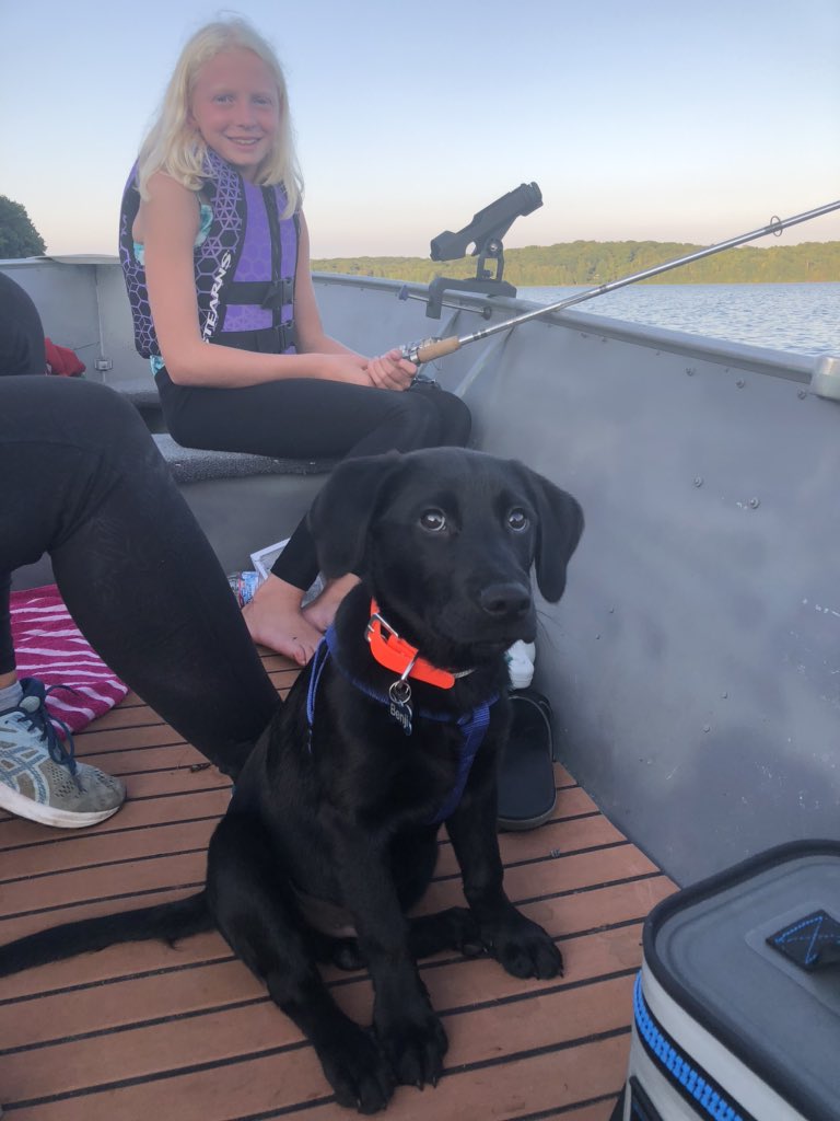 CampLansing's tweet photo. Benji’s first fishing trip.  #dogsofeagleriver #eagleriverwi https://t.co/P5J94irQmN