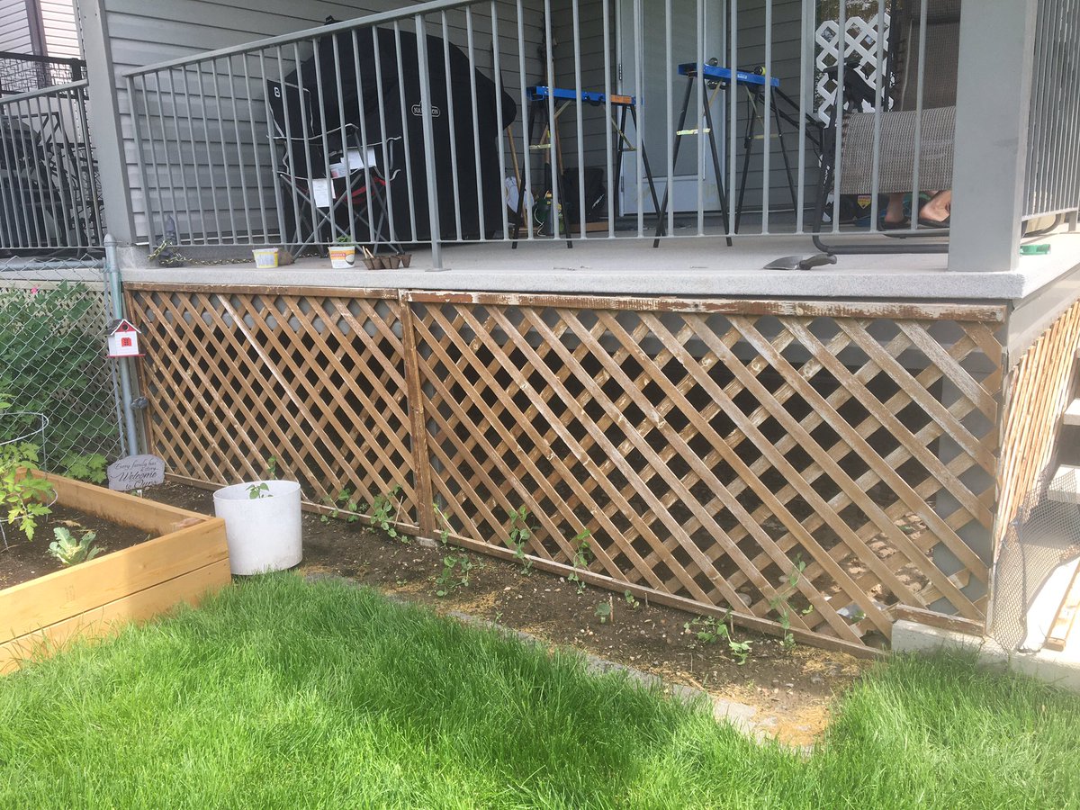 RikkiSchmitt's tweet photo. @TAGGARTnTORRENS Painted stairwell; replaced lattice. #momtext https://t.co/gl0yIkKr6c
