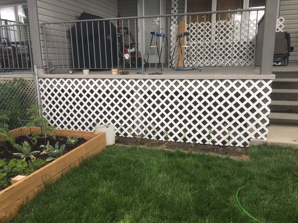 RikkiSchmitt's tweet photo. @TAGGARTnTORRENS Painted stairwell; replaced lattice. #momtext https://t.co/gl0yIkKr6c
