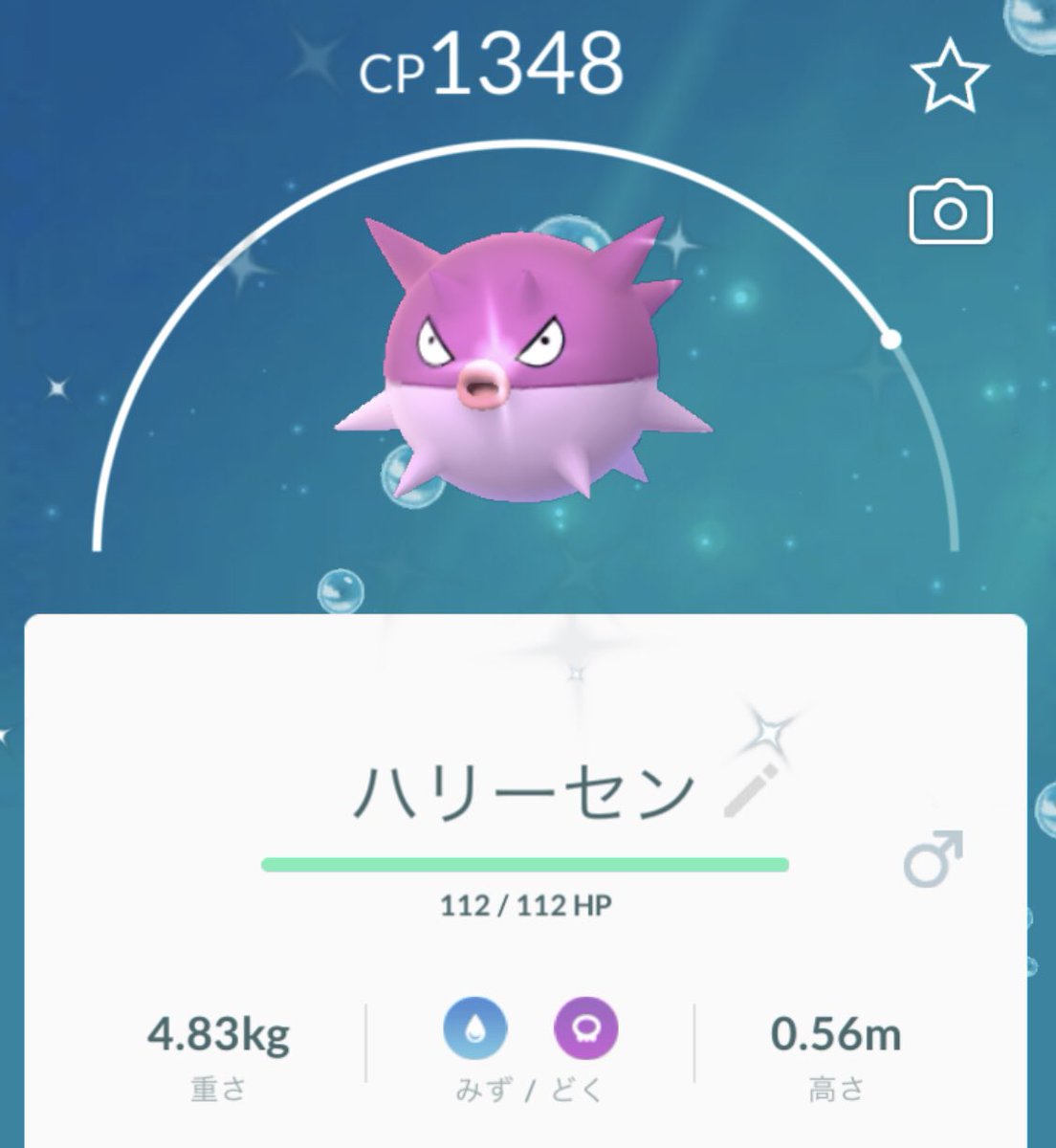 マシュマロ ハリーセンの色違いげっと ポケモンgo T Co Kpmdbl0rw2 Twitter