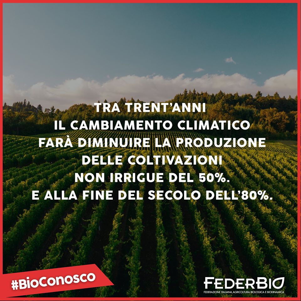 FederBio's tweet photo. #BioConosco
💪 L’agricoltura bio è un alleato contro il climate change.
🔴 Il tasso d’assorbimento della CO2 dei suoli nell’agricoltura convenzionale è pari all’1%, in quelli bio sale al 3,5%.
📌Rapporto #IFOAMEU: https://t.co/54AaEBkMkm https://t.co/7FNGYs9lIH