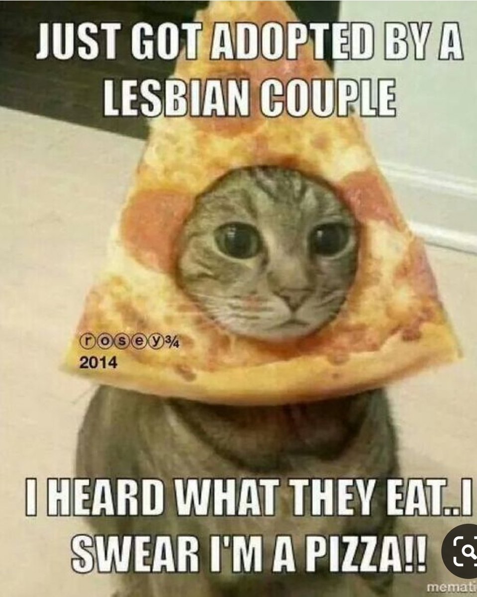 SemperFiComic's tweet photo. @YetiEye @smonzavi @egypt2366 @ghost_kitty @thesaucyliberal @doxie53 @IamMultiversal @MDomino07 @vegix @SncShelia @anthonycwalker @kelnoland2020 @beccas1434 @GMousies @TheLoris2 @TimbosRoses1 @JZlotnick @5ruemayet @AngieJones1968 @Tia_Arizona @lonishappy @Lady_yassaie @SaharMonzavi @danieladamcote @nankadobe @GailDonoff I support this message!
#CatsOfTwitter
#CatsCoolDogsBoo
#AdoptDontShop✔
#catsrule
#MyCatIsSmarterrThanUrHonorStudentSnotNosedBrat
#HarryPotterWasRussianPropagandaToPromoteWizardryInOurSkools
#ILikeStuff
#GregIsAJerk
#WillyToo
#BothJerks
#JimIsOk https://t.co/ZDz3FV7mvB
