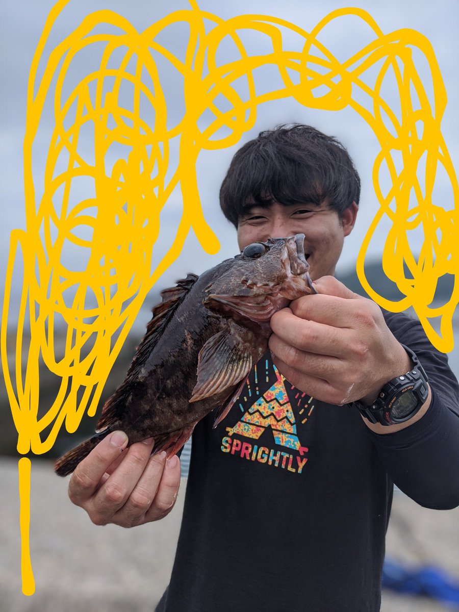 ぽんちゃきろん カサゴ大きいの釣れた ブラクリアオイソメ最強 ちょい投げで岩場を探るとめちゃ釣れる ベラがね ブラクリ アカササノハベラはうまいよ