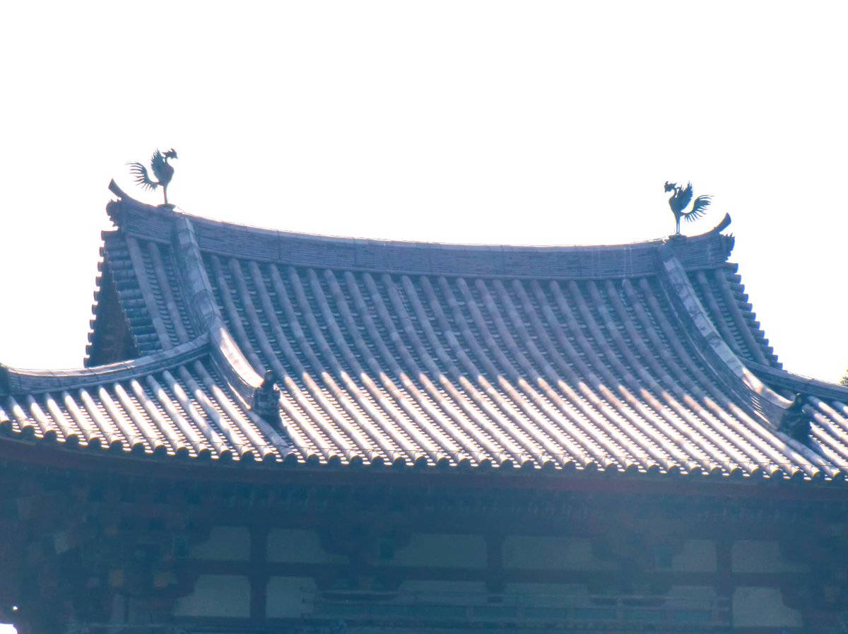 yuzubestever02's tweet photo. 💿#反射💿
#平等院 #byodoin #temple
#WorldHeritage #uji #kyoto #Japan
🔻https://t.co/bPlDTb5Ckk
🔻②&amp;③:📸 by me (2011🔖large scale renovation:2012-14)
🔎#鳳凰堂(Hōō-Dō) #PhoenixHall
🔎#Phoenix
🔻借りた画像 10-yen coin
#reflection #architecture #landscape
#StaySafe #coronavirus https://t.co/DYLxpc2UHb