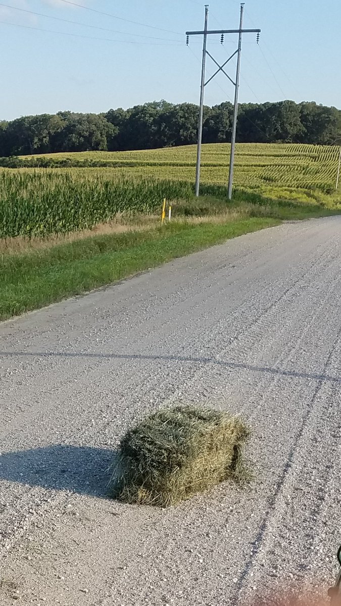 chiefpeon's tweet photo. @MNWeedWizard That's an odd place to leave a bale. https://t.co/KE7xvujEe2