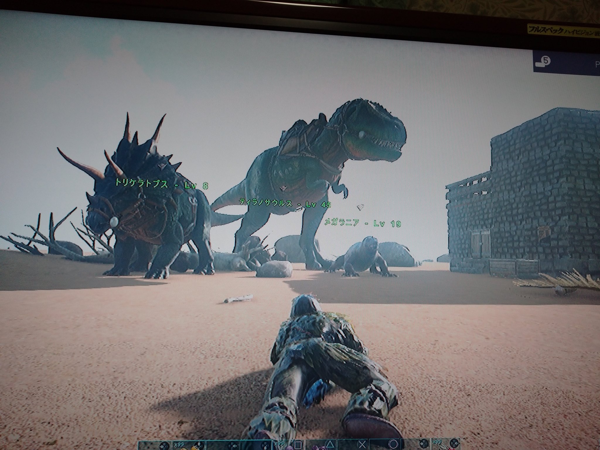 マロン 拠点１から拠点２へティラノサウルスを連れてきました 30分かかった ベリー採取用にトリケラトプスもテイム 次は空飛べる奴を仲間に入れなきゃ Ark