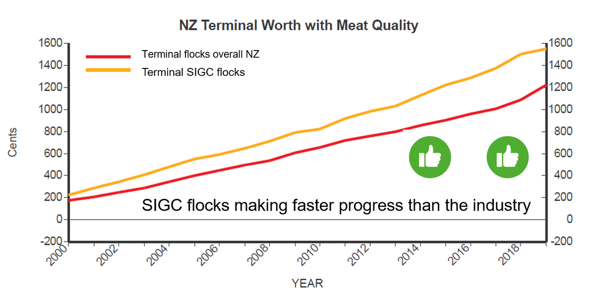 mcewanjc's tweet photo. The FarmIQ project started 10 years ago and its now in the 5th year of industry delivery to NZ.  Great genetic trend progress in meat quality and carcass value by the NZ breeders involved with the SIGC evaluation: Suftex, Suffolks, Kelso, Focus Genetics. Genetics works. https://t.co/W5LK7THbCs