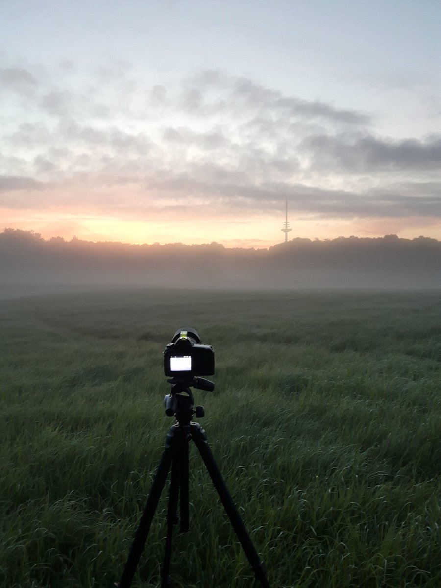 MBergnerFoto's tweet photo. #GoodMorning #Kiel! Live from my #sunrise photolocation. Developed pretty well! Sadly the fog was gone pretty quick. #landscape #Photography #landscapephotography #nature #outdoor #earlyBird https://t.co/cX4TdszWQm