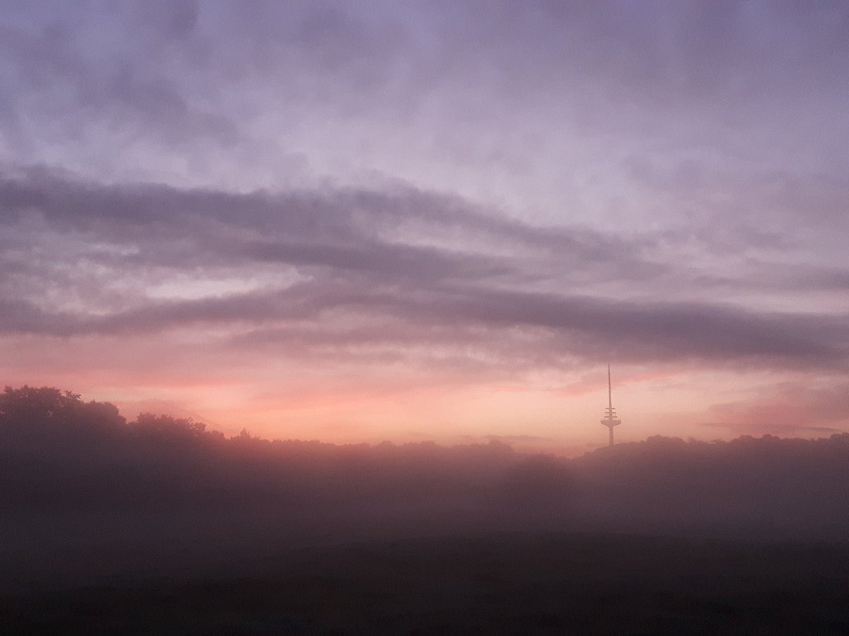 MBergnerFoto's tweet photo. #GoodMorning #Kiel! Live from my #sunrise photolocation. Developed pretty well! Sadly the fog was gone pretty quick. #landscape #Photography #landscapephotography #nature #outdoor #earlyBird https://t.co/cX4TdszWQm