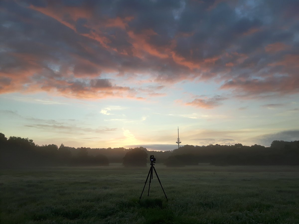 MBergnerFoto's tweet photo. #GoodMorning #Kiel! Live from my #sunrise photolocation. Developed pretty well! Sadly the fog was gone pretty quick. #landscape #Photography #landscapephotography #nature #outdoor #earlyBird https://t.co/cX4TdszWQm