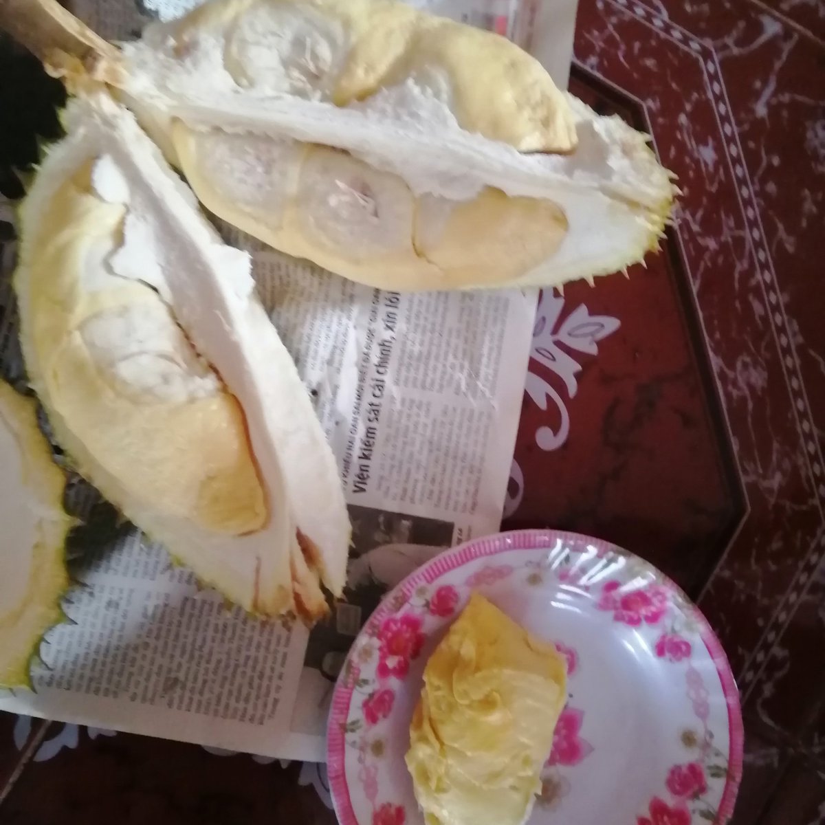My mom's like to eat durian. I found a connection to a durian farm in the north. This is a full natural ripped durian. It is only possible to get at a farm. Usually all durian is sold not ripe. This gives buyers more time to sell it.