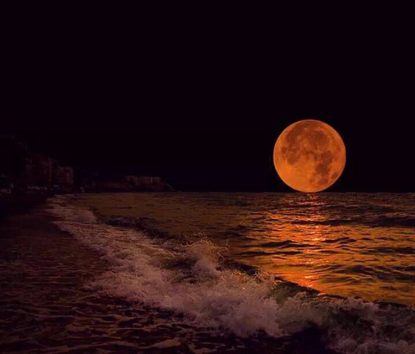 nelsonkolukwi's tweet photo. 🇹🇿 Muwe na Jumamosi njema🙏...
🇬🇧 Have a blessed Saturday everyone🙏...
🇪🇸🇲🇽 Tener un bendito Sábado chicos🙏...
#JumamosiNjema #HappySabbath🙏 #FelizSábado #blessedsaturday #benditosábado #Durban #SA #Coastlife #beauty #scintillatingview #bellavista #centellante #miparaíso https://t.co/nhizLF51eI