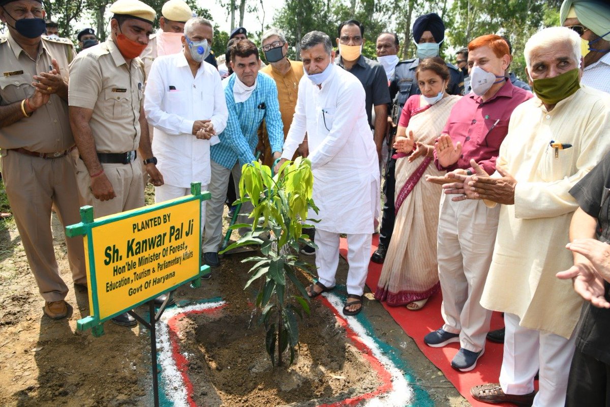 Urban Forestry Programme at District Kurukshetra , Pipli