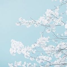 Illopii Im Trying This Google Your Name Your Favorite Color Aesthetic The First 4 Non Collage Pics Make Your Aesthetic Board Now I Wanna Make Smth Out Of