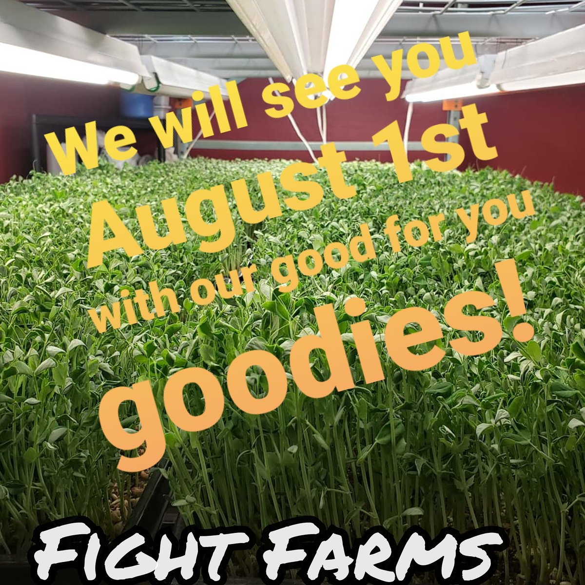 farms_fight's tweet photo. #FightFarms #microgreens #healthyfood #NScottsdale #peashoots🌱 #premiersaladmix #MicroSpringRolls #peashootpestopacks #saladmix #farmersmarket #saturday #Aug1 #seeyousoon❤️ https://t.co/EGiJ8ctKRe