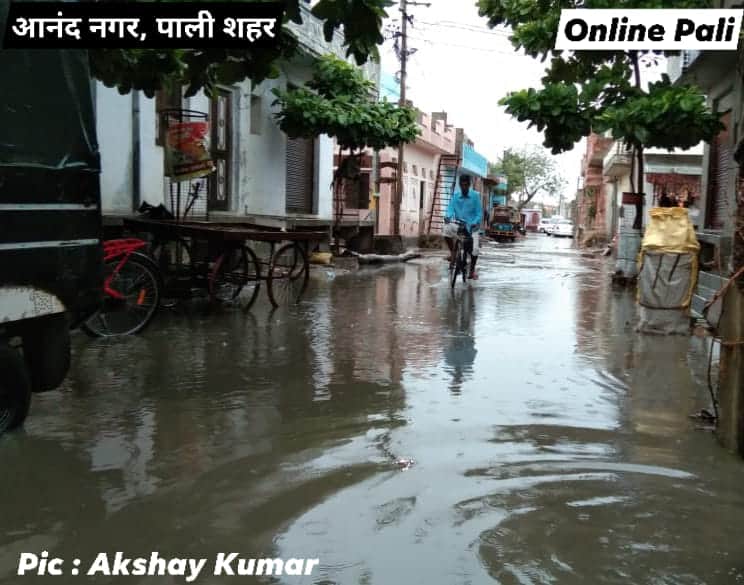 OnlinePali's tweet photo. #पाली शहर के आनंद नगर में बारिश के बाद का दृश्य : @OnlinePali । Pic : अक्षय कुमार #Pali #PaliCity https://t.co/sfLKIuxj9k