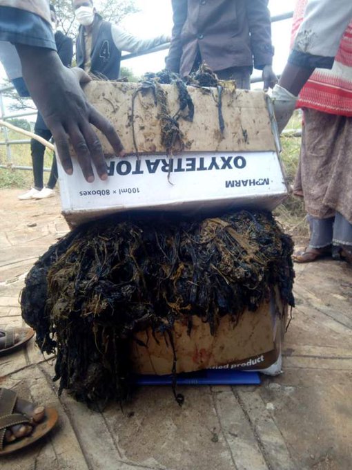Vets remove 50kg of plastic from Cow's stomach