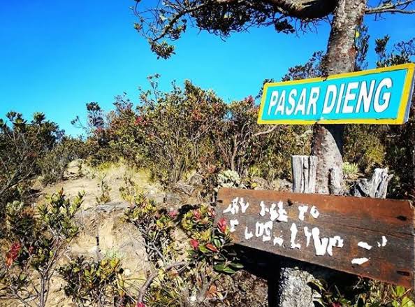 Pasar Dieng/Pasar setan        
                      -Gunung Lawu-

[ I Thread]
