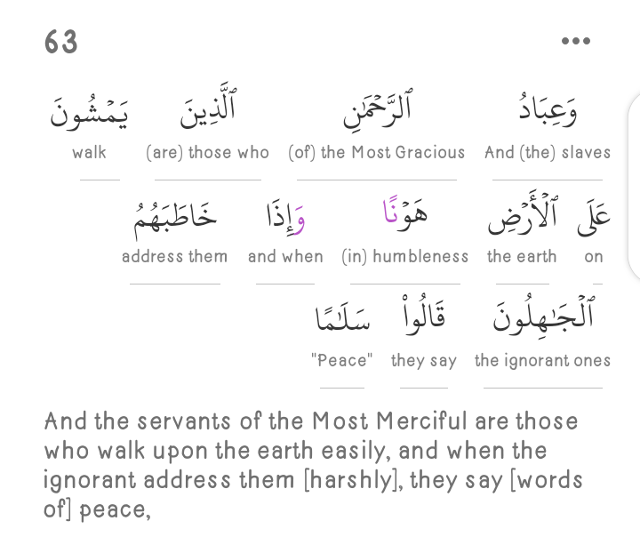 Insulting and abusing such people will only further "prove" their agenda. Same agenda we've been warned about countless time in the Qur'an by Allah. And we've been thought really well how to respond to such agenda in the verse below.