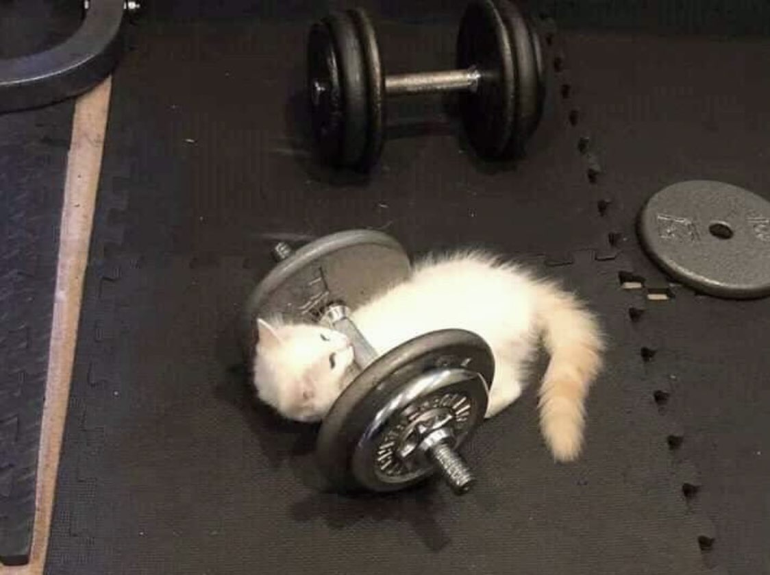 taelude's tweet photo. hard work pays off https://t.co/gkUDruUYxV