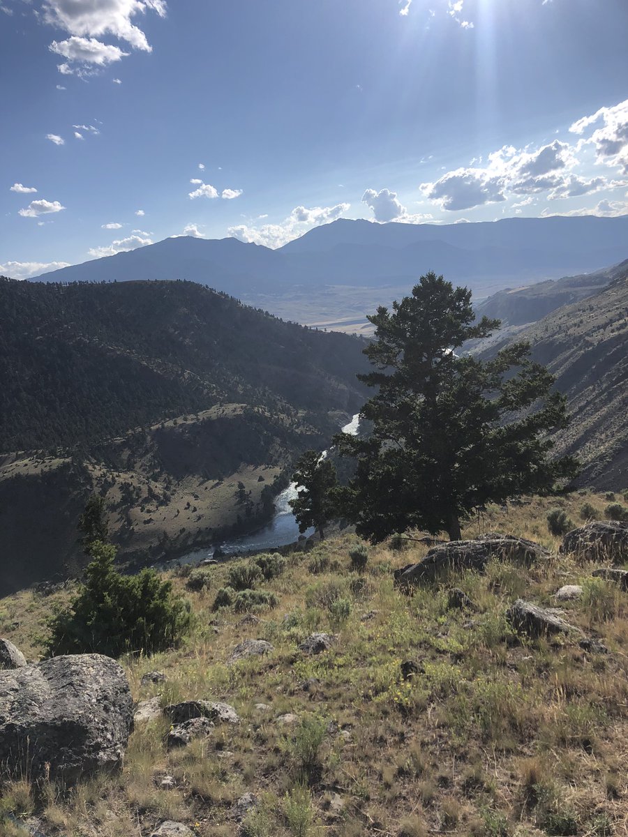 WhitneyDodds's tweet photo. I will move to montana one day, mark my words. https://t.co/EAwbsIN4Yz