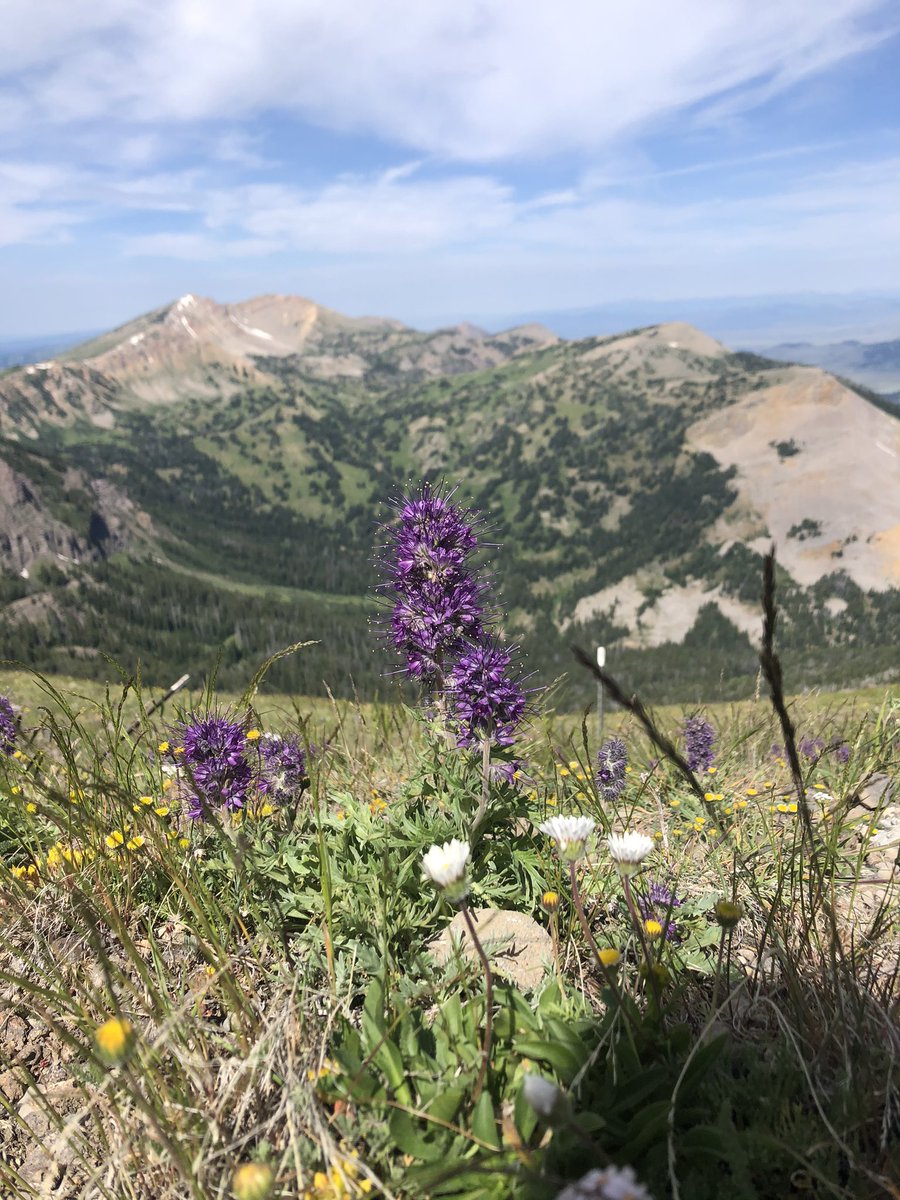 WhitneyDodds's tweet photo. I will move to montana one day, mark my words. https://t.co/EAwbsIN4Yz