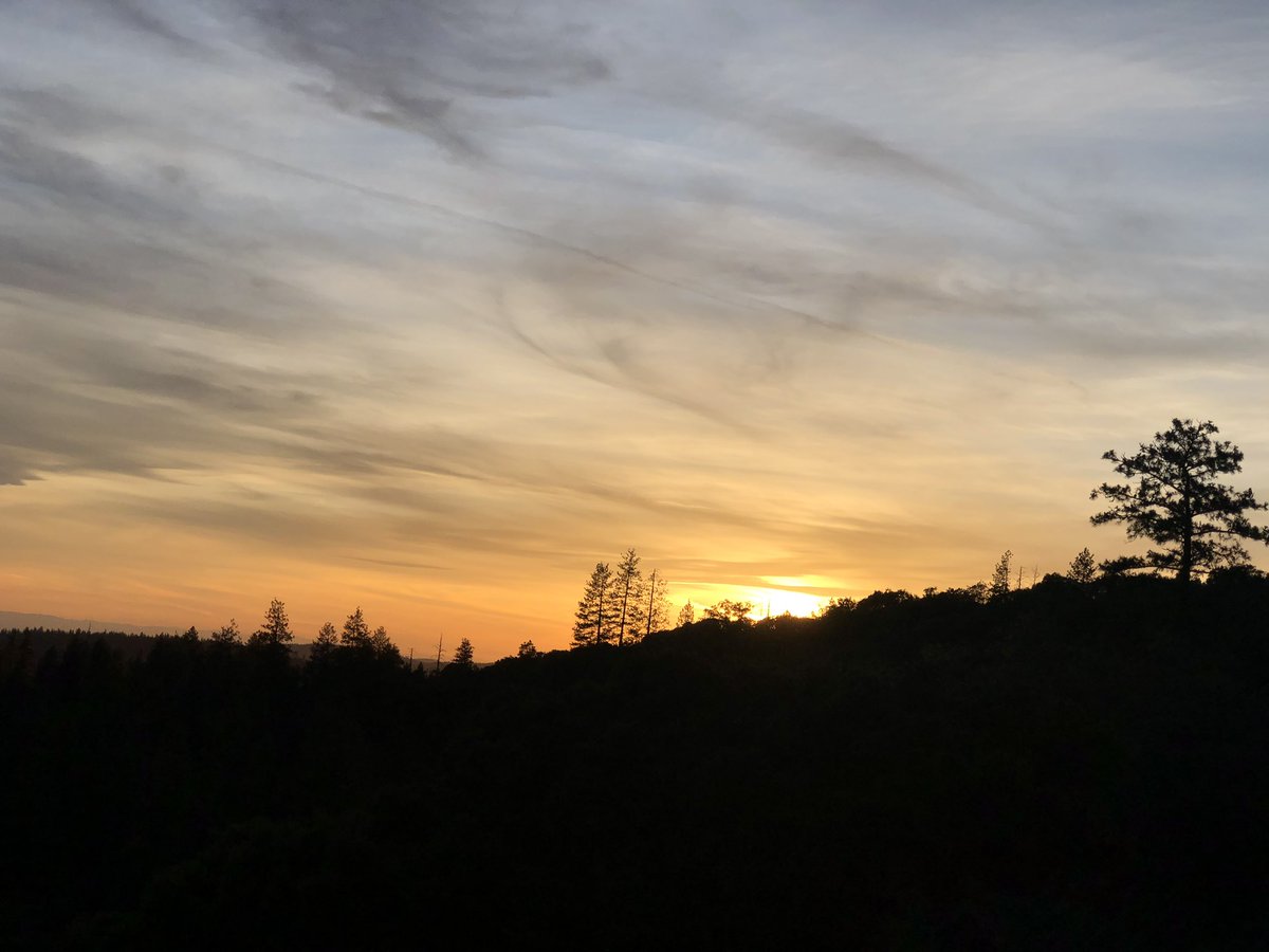 AmyMart8998's tweet photo. “Lose yourself in nature and find peace” - will forever be grateful for the California nature that surrounds me 🌸☮️ https://t.co/19Vbq8XIS1