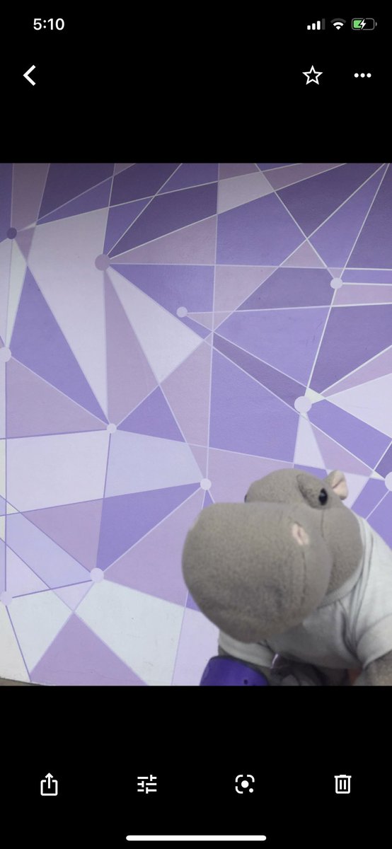 rendezvous_spot's tweet photo. @DisneyWithBooze Sebastian at the purple wall 🥰🦛 https://t.co/bl94jowj4V