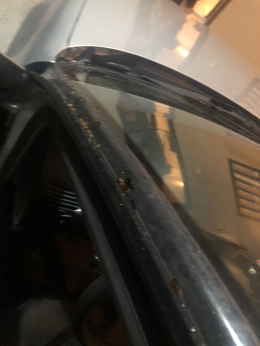 Carlahr86's tweet photo. Deberían de estar más al pendiente de los borrachos @policiasaltillo @SaltilloGob #Saltillo https://t.co/gmfjoQVJpK