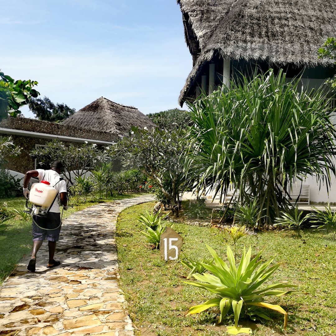KolaBeach's tweet photo. For your thoughtless break
https://t.co/hLXrwRZQjH

#KolaBeach #Mambrui #Kenya #ShareTheKola #mambruibeach https://t.co/U3BNsXfBuz