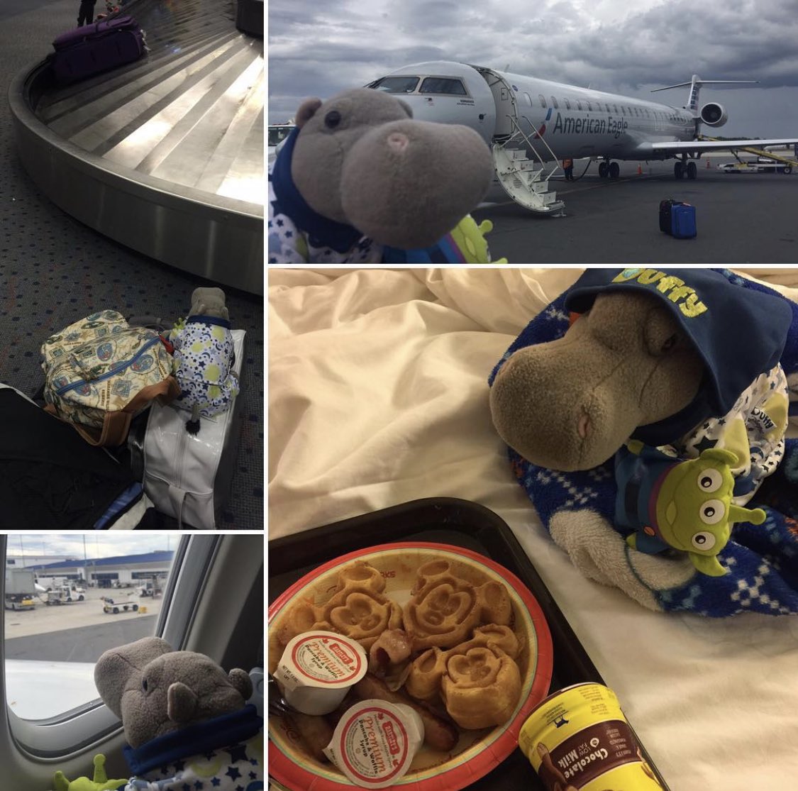 rendezvous_spot's tweet photo. @DisneyWithBooze I haven’t posted to his Instagram recently, but if you look up @cincinnatisebastian you’ll find all kinds of adventures! Here’s one of his Disney trips 🦛✈️🏰 https://t.co/rDeBEPnQTw