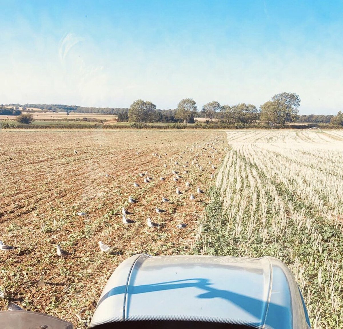 IanSmithyy's tweet photo. Enjoying the farmer life! #farm #hobby #farmer #tractor #fields https://t.co/4isUflEmXx