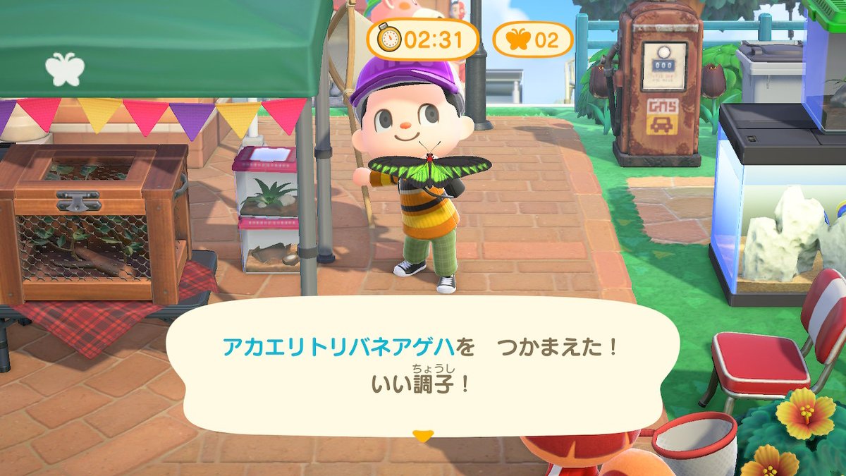 O Xrhsths Slk55amg Kir Spl Ac あつ森2年目突入 Sto Twitter 今回のレア虫 終盤には蜩と蚊が出現 どうぶつの森 Animalcrossing Acnh Nintendoswitch あつまれどうぶつの森 あつ森 どう森 アレキサンドリラトリバネアゲハ アカエリトリバネアゲハ