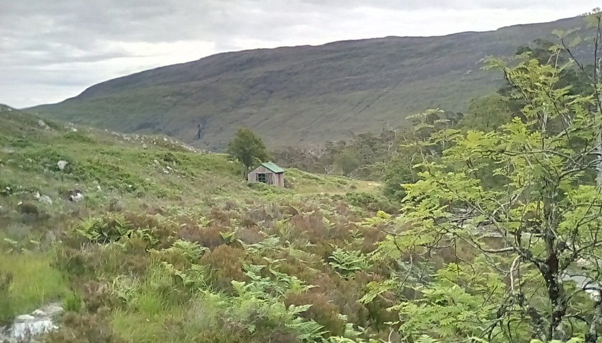 DavidRoger1951's tweet photo. Welcome sight - the Tea Hut, #Coulin Forest ☕ 😴 https://t.co/gErQUUWIFP