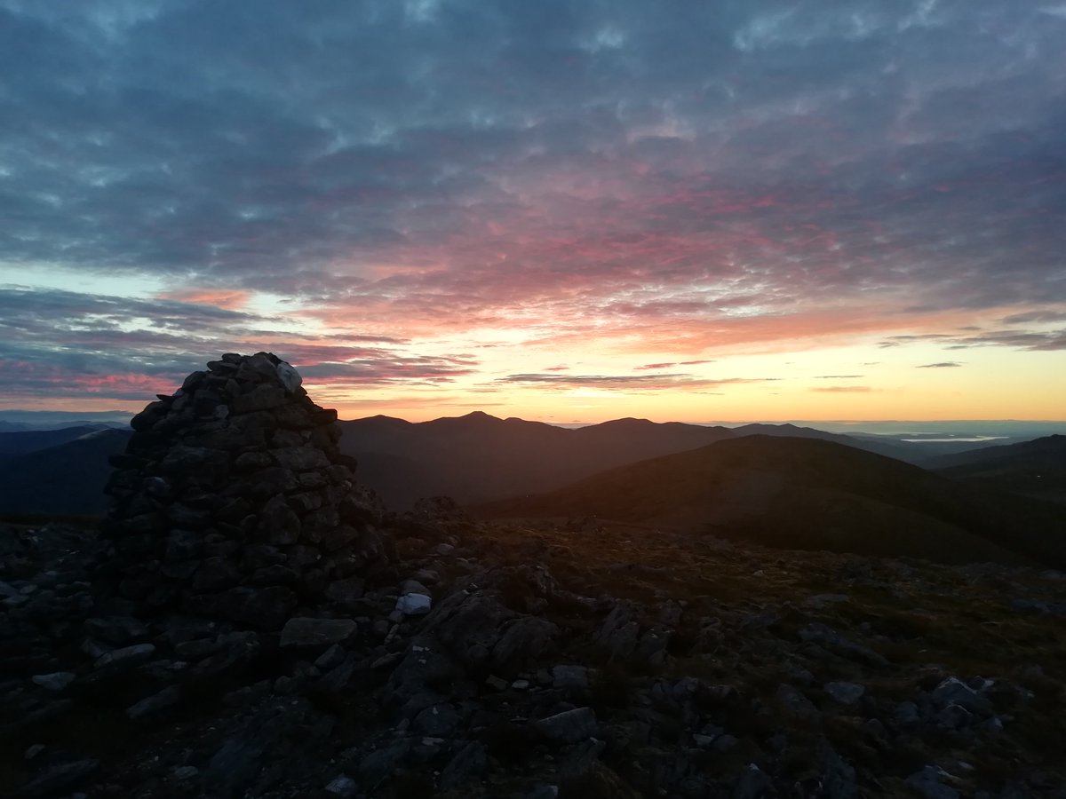 Robert Wight tweet media