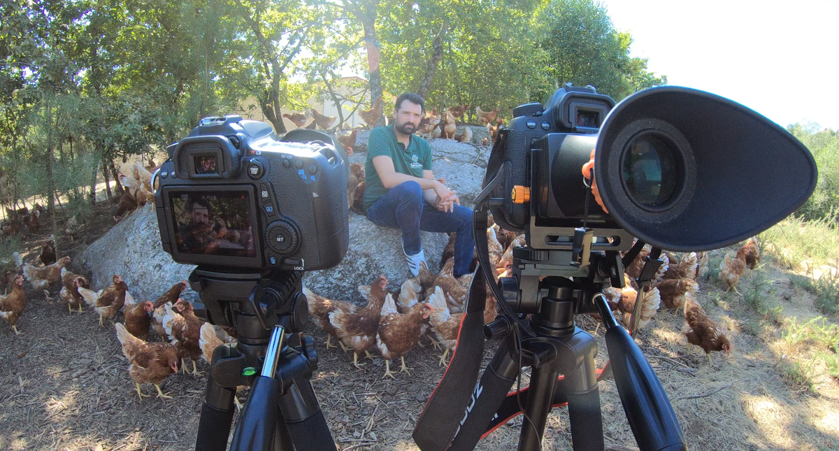 VenteArriba's tweet photo. Ayer hemos estado grabando diversas entrevistas a antiguos alumnos/as de la @EfaPineiral Unos cracks que emprenden en la Galicia Rural #albergueUltreia #huevosCastroSerantes #QueseríaVarela https://t.co/9mefKXoKez