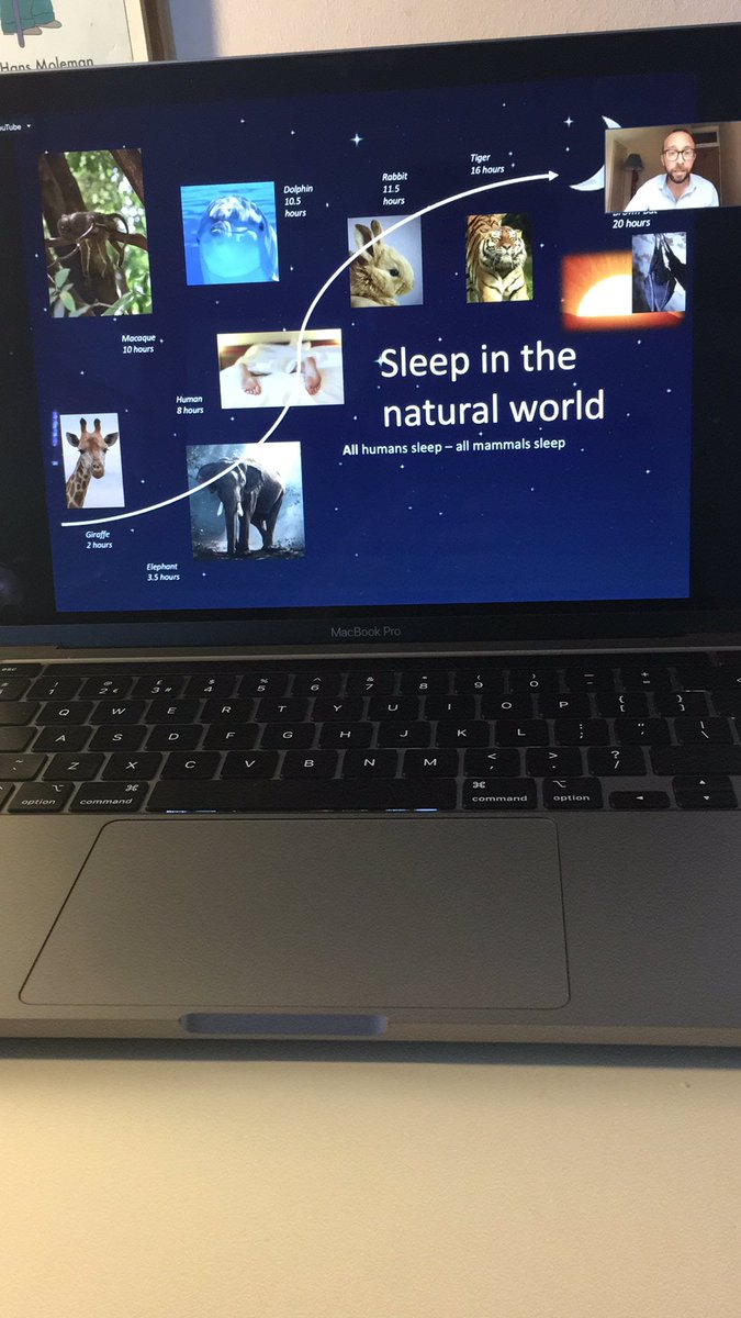 vinaymandagere's tweet photo. Session 1: @DrDGavriloff on the science of sleep!
#MedicsSleep https://t.co/BZqwFaAda2
