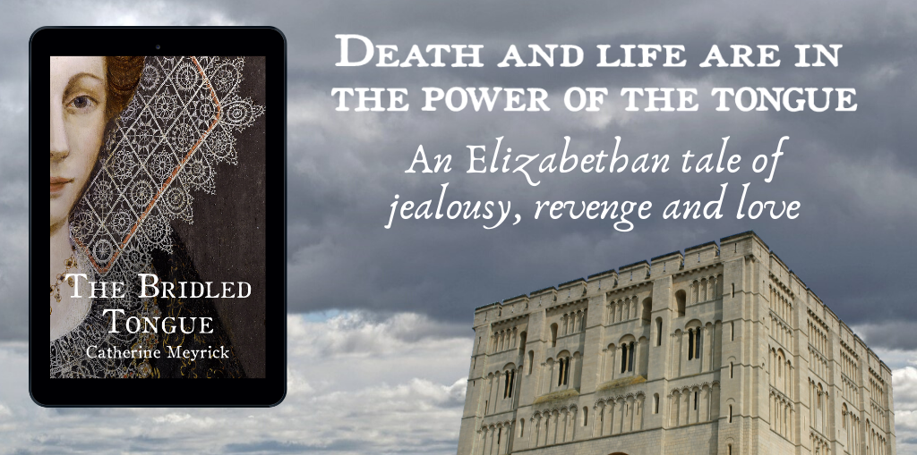 ‘Compulsively readable and alive with intrigue, insightfulness and the mirror of the true nature of people at their best and worst.’ – Gypsy @Books and Zebras

#HistoricalFiction #Elizabethan #WomensFiction
books2read.com/BridledTongue