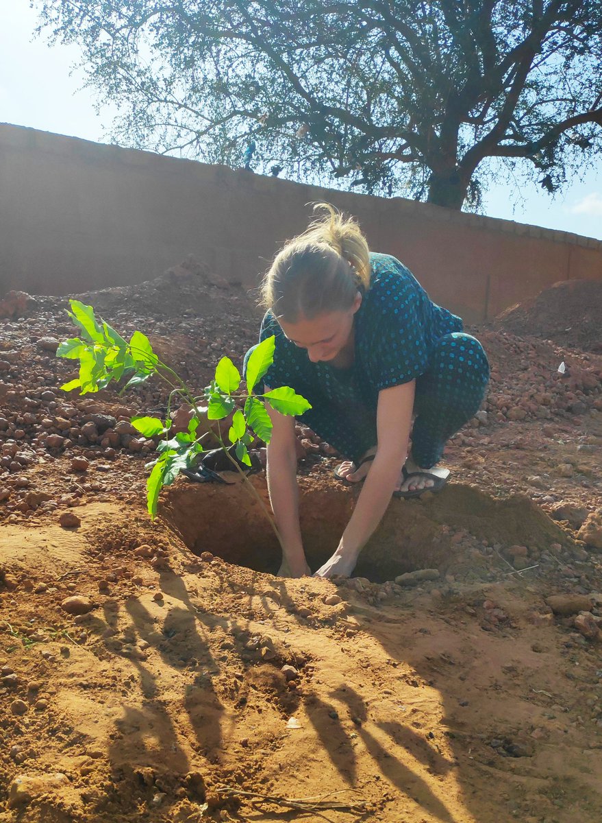 ClaireLavielle_'s tweet photo. Aujourd'hui j'ai pu participer à une #plantation d'arbres le long de la devanture du cimetière Yantala. Merci @t0429n pour cette invitation et à toute l'équipe @Cyber_Citoyen pour leur #accueil et dévouement. Courage à @NiameyDe dans son #ambition de planter 3 millions d'arbres ! https://t.co/SXuGn0RY1a