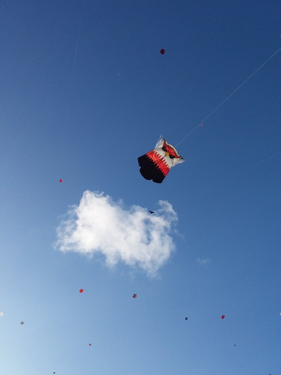 PakAbi4's tweet photo. Let's play kites
@behappy@ https://t.co/3GLqC3QsMm