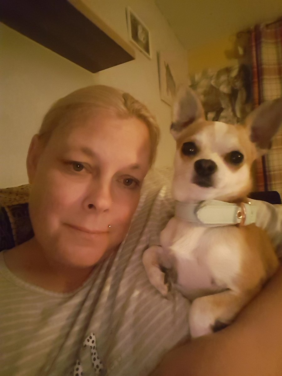 LyeMrs's tweet photo. Me and Ollie (he is 1 year old now ) 🐾🐾🐾🐾🐾🐾🐾🐾 https://t.co/TCylK42yLs