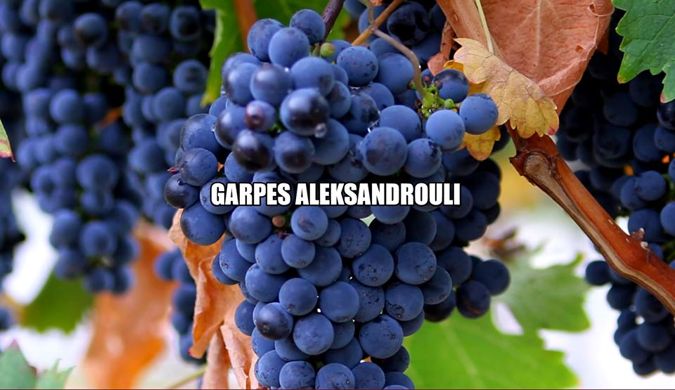 GeorgiaWineland's tweet photo. 🇬🇪☀Khvanchkara-Comrade Stalin's favorite wine
🍷Brothers Askaneli ''Khvanchkara''is one of the most famous Georgian wines.
Wine:Red-semi-sweet
Region:Racha-Georgia
Grapes: Alexandrouli-Mujuretuli
Manufacturer:Brothers Askaneli
Fortress: 1️⃣2️⃣,5️⃣
Volume:0️⃣,7️⃣5️⃣ L
Price from 4️⃣0️⃣$ https://t.co/VkThRmYpN5