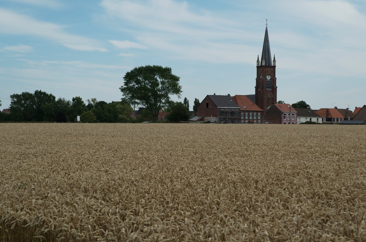 PascalHeyman's tweet photo. Perfect 🚴♂️ in 🇫🇷 French #Flanders through the pleasant and quiet countryside where the names remind of the former County of Flanders, such as #Winnezeele #Droogland #Houtkerque : https://t.co/nLB1k82zTO. @TourismeNordHT @FlandreTourisme @departement59 @hautsdefrance https://t.co/0LdxEHYMpe