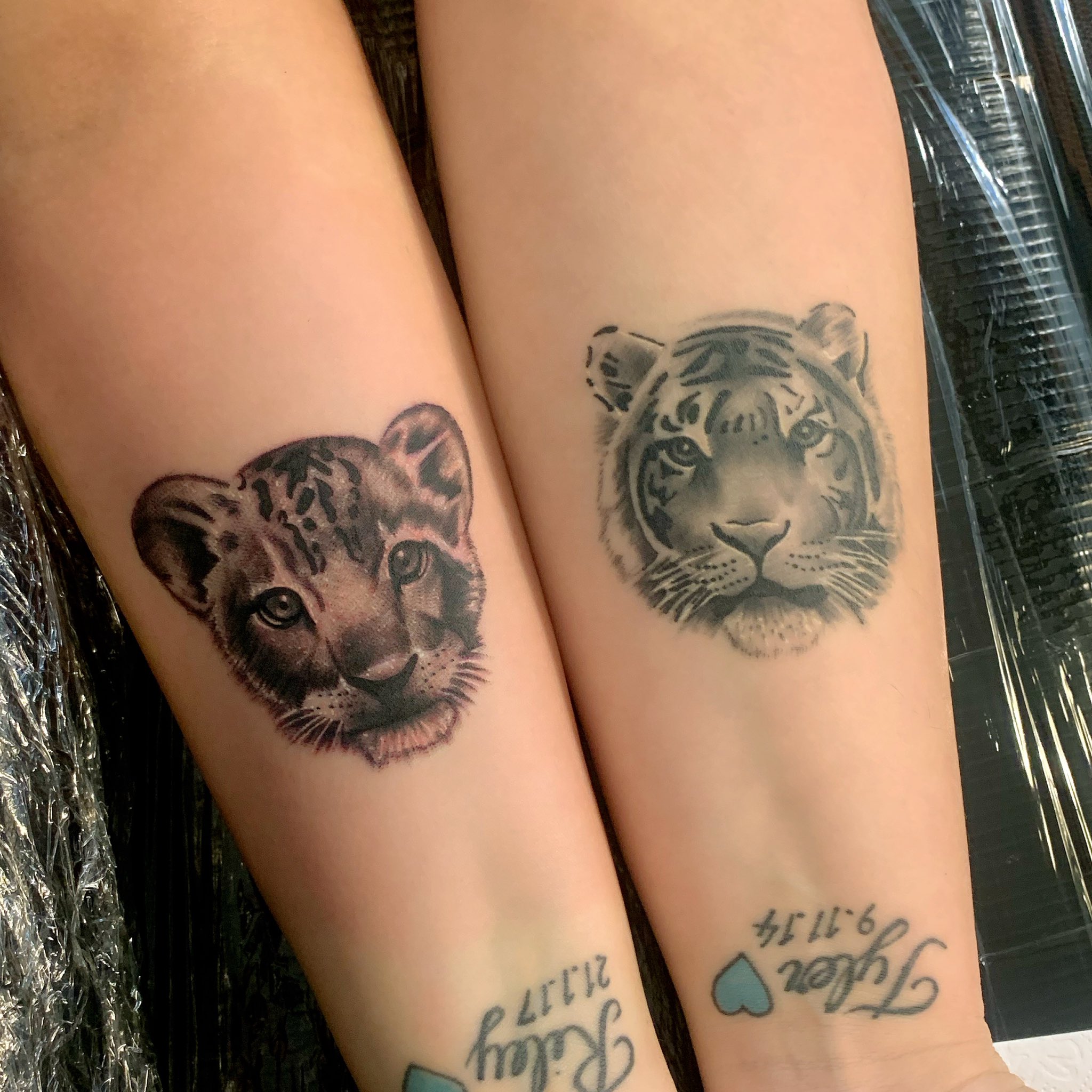 tiger and cub tattoos on females｜TikTok Search