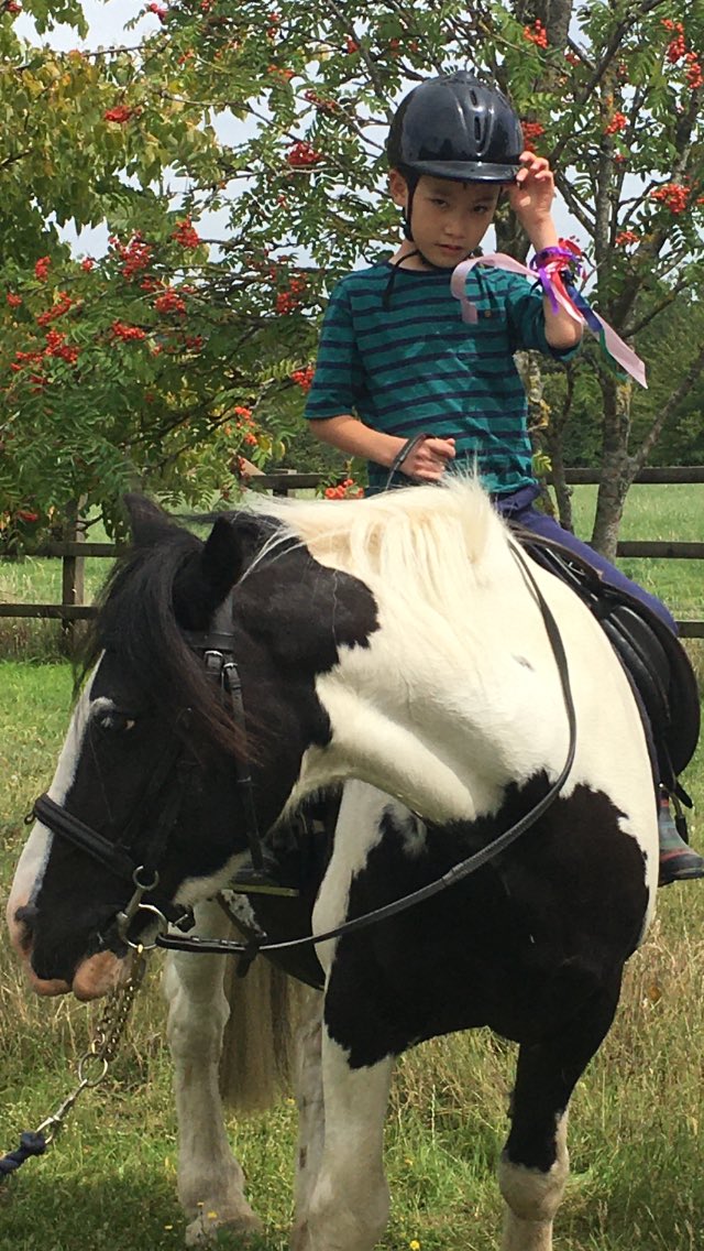 Rosswayrda's tweet photo. Lovely last session searching for ‘rainbow’ ribbons in the trees! We hope to be back in September - health and regs permitting. https://t.co/tDzRj00n40