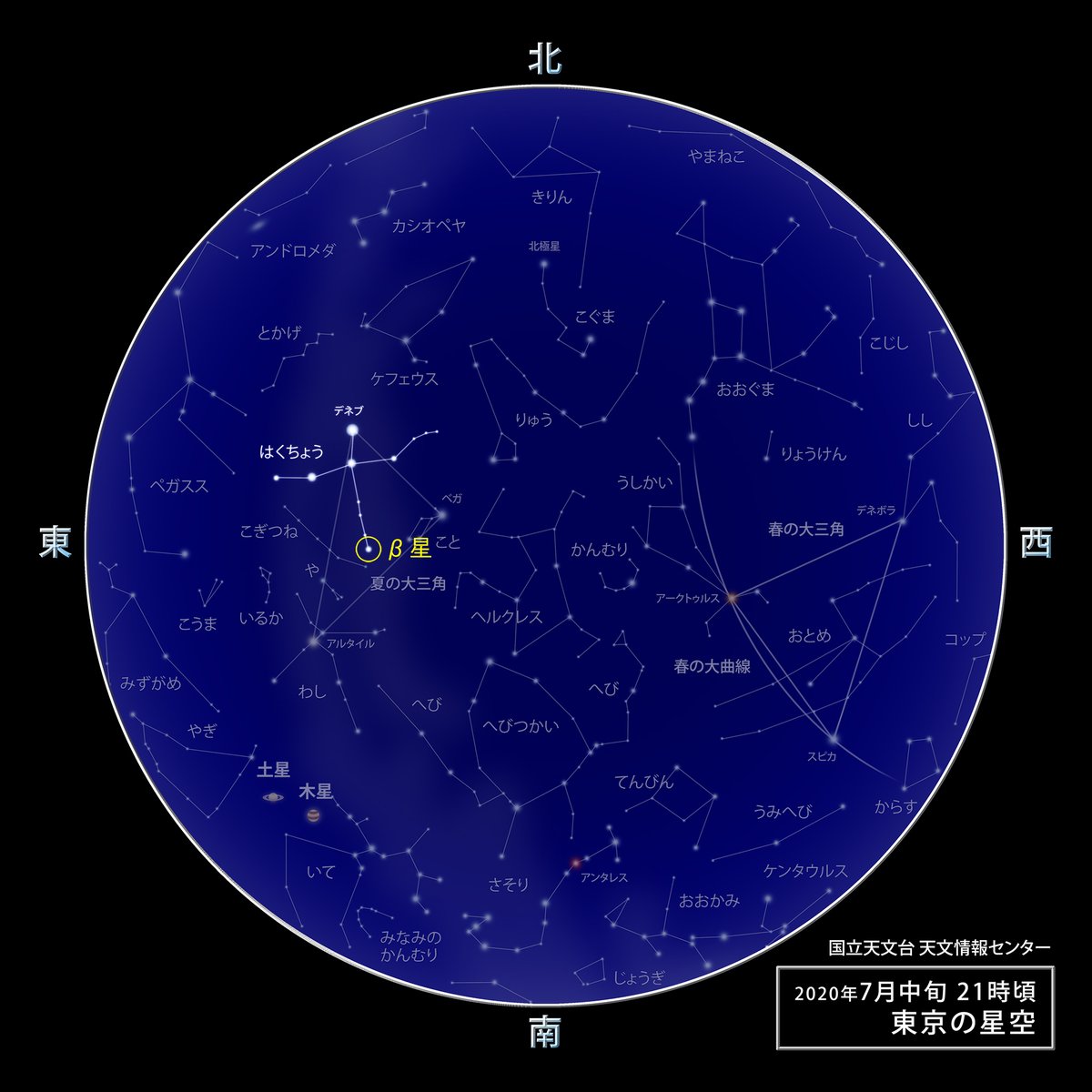 国立天文台観望会 はくちょう座b星は アルビレオ というの名前の方が親しみがあるのではないでしょうか 銀河鉄道の夜 にも登場する名前です 宮沢賢治は このアルビレオを 眼もさめるような 青宝玉 サファイア と黄玉 トパーズ の大きな二つの